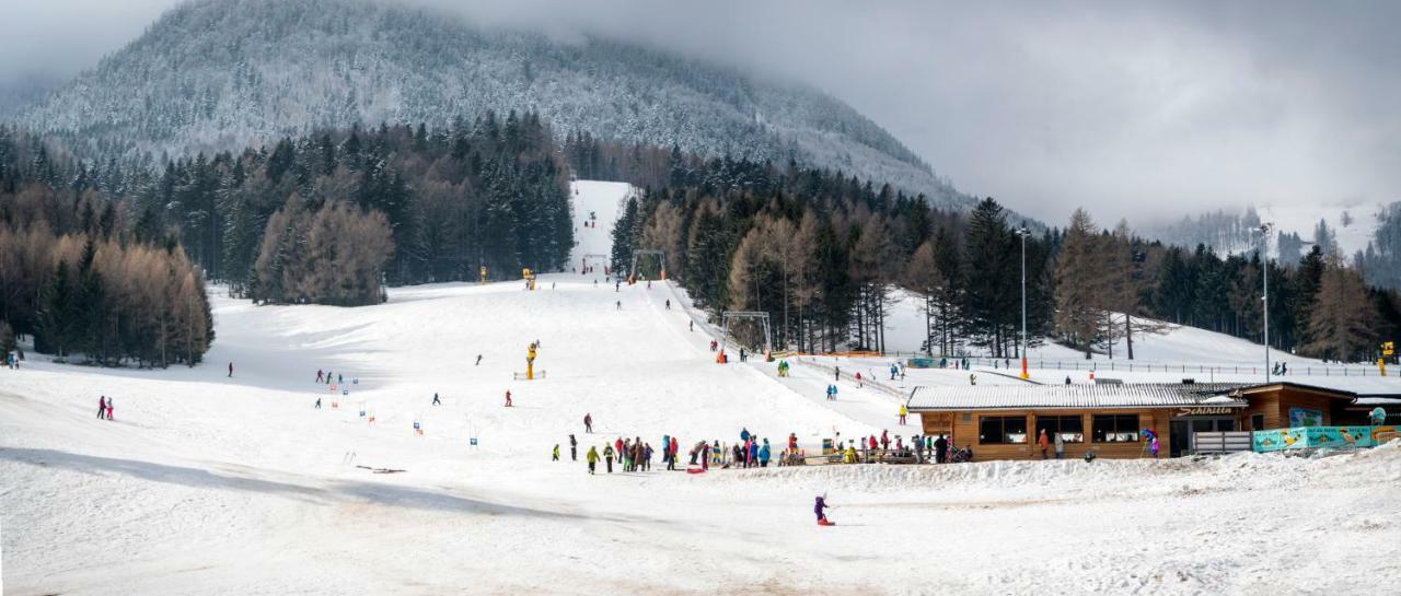 Haus Lenz Ferienwohnungen - Fam Ostermann プフベルク・アム・シュネーベルク エクステリア 写真